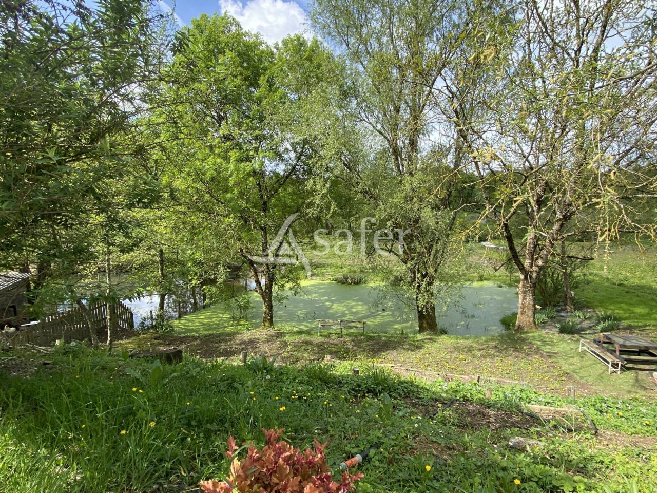 Equestrian property  Ain