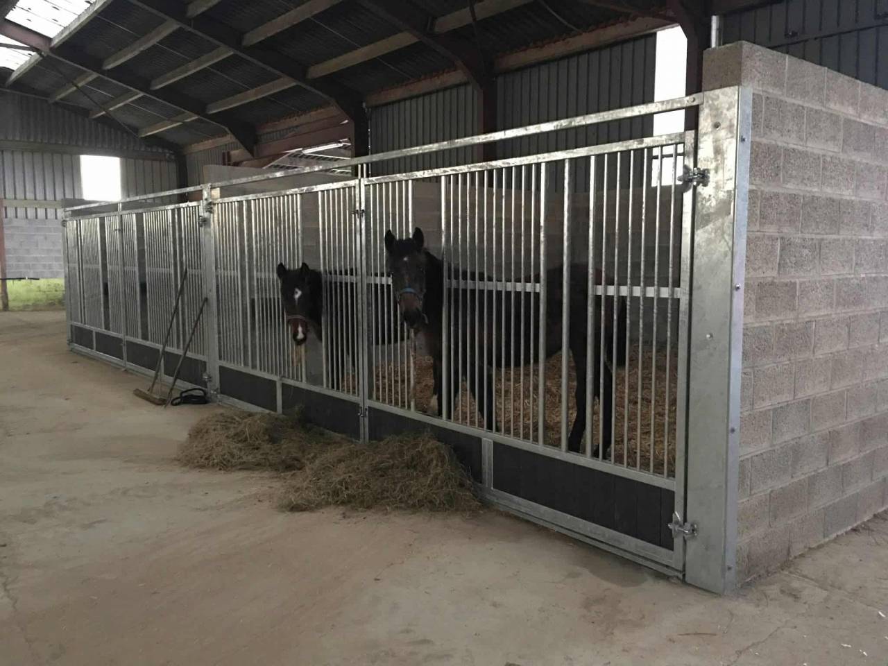 Equestrian property  Luxembourg belge