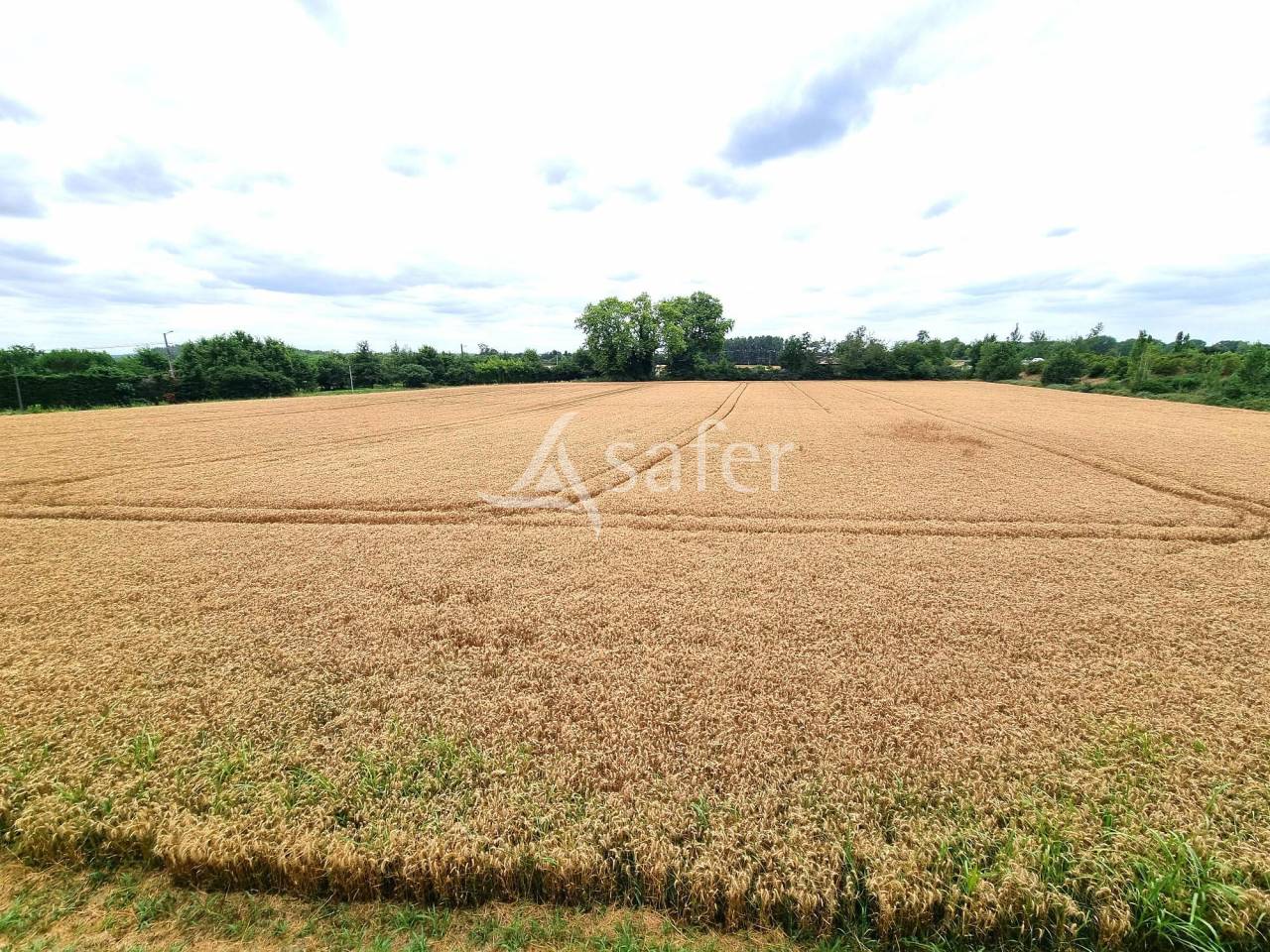 Other country property  Tarn-et-Taronne