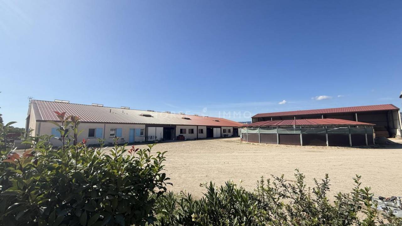 Stud farm  Bouches-du-Rhône
