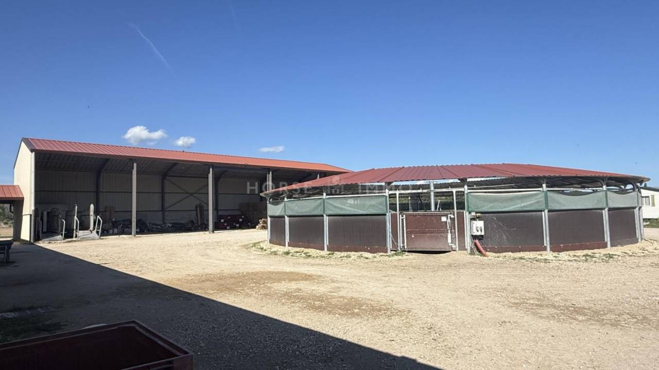 Stud farm  Bouches-du-Rhône