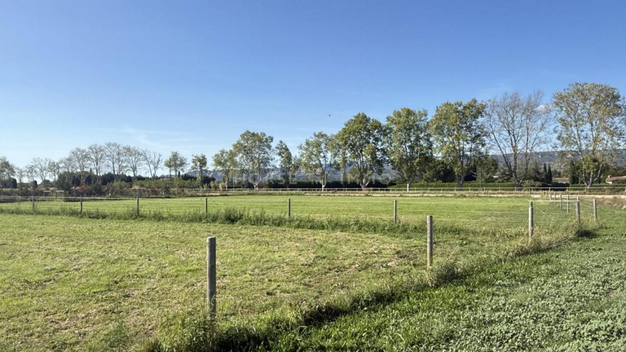 Stud farm  Bouches-du-Rhône