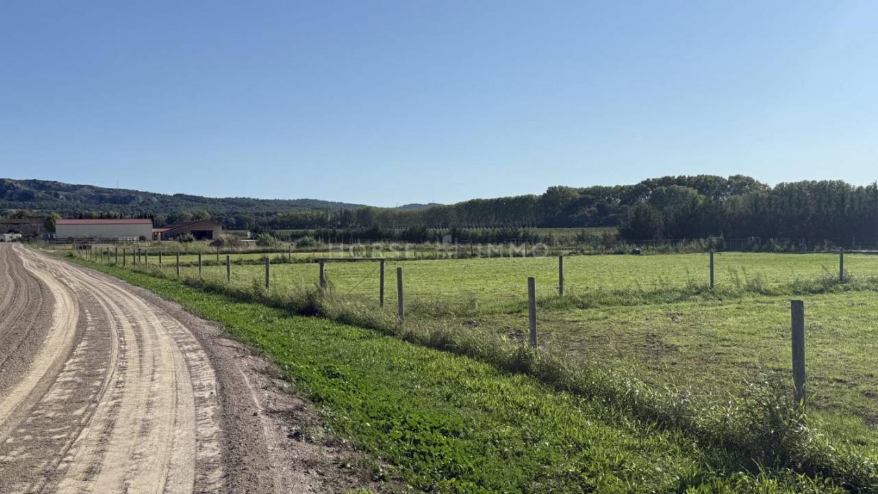 Stud farm  Bouches-du-Rhône
