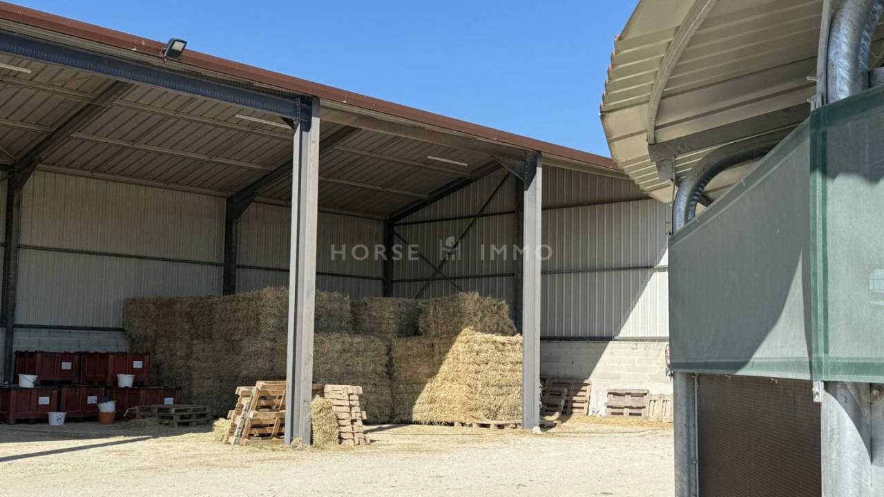 Stud farm  Bouches-du-Rhône