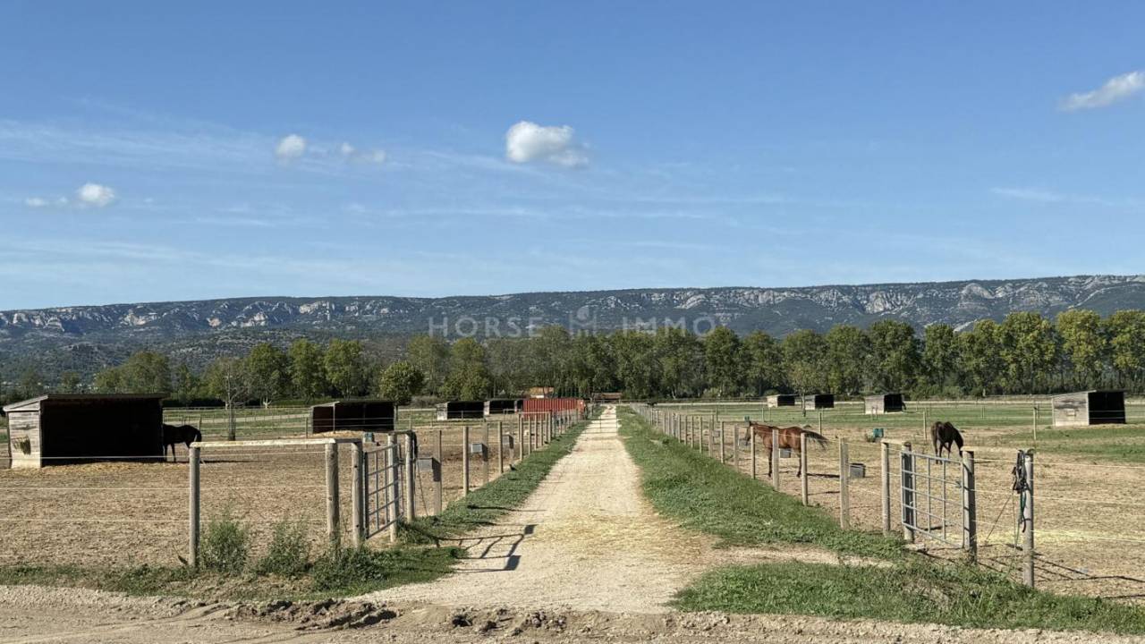 Stud farm  Bouches-du-Rhône