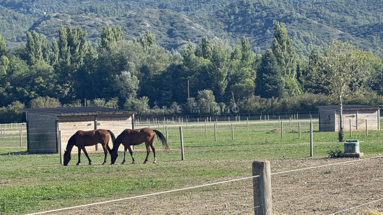 Stud farm  Bouches-du-Rhône