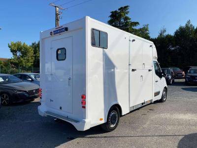 Horsebox HGV Opel Movano 2021 New