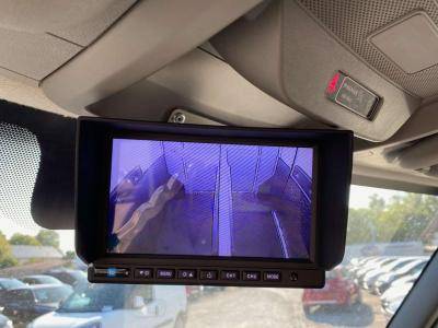 Horsebox HGV Opel Movano 2021 New