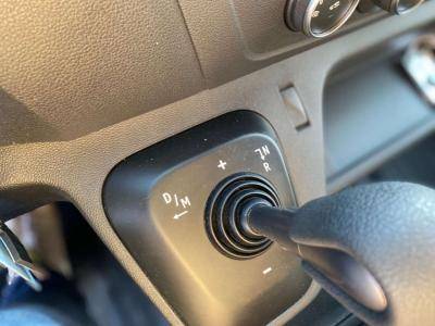 Horsebox HGV Opel Movano 2021 New