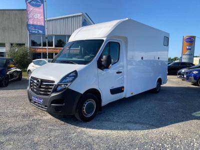 Horsebox HGV Opel Movano 2021 New