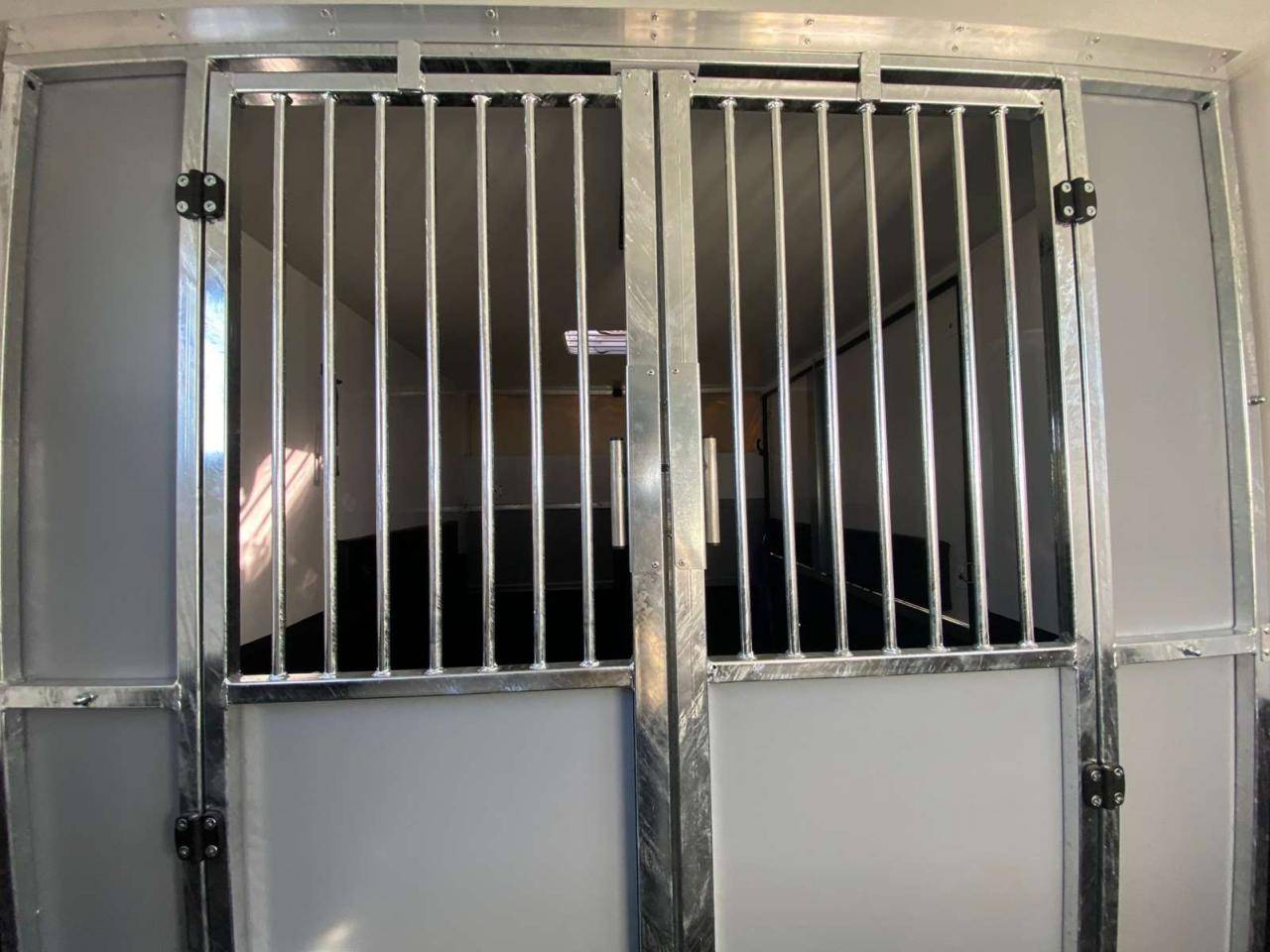 Horsebox HGV Opel Movano 2021 New