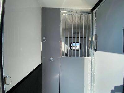 Horsebox HGV Opel Movano 2021 New