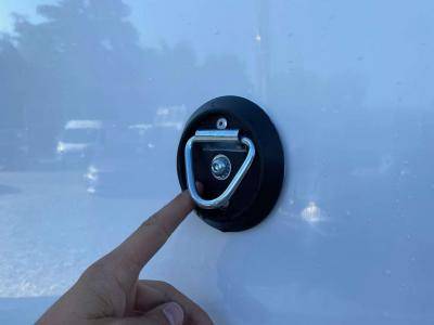 Horsebox HGV Opel Movano 2021 New