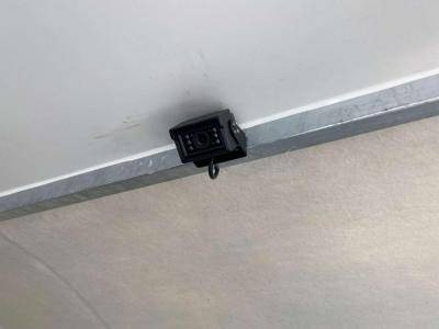 Horsebox HGV Opel Movano 2021 New