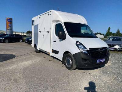 Horsebox HGV Opel Movano 2021 New