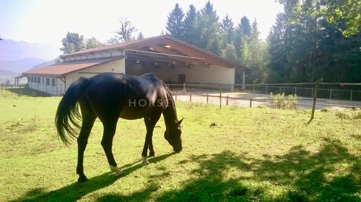 Equestrian property  Haute-Savoie
