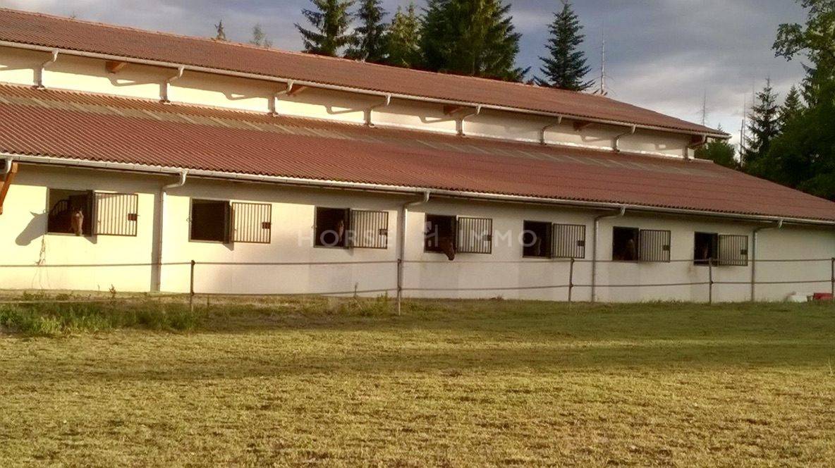 Equestrian property  Haute-Savoie