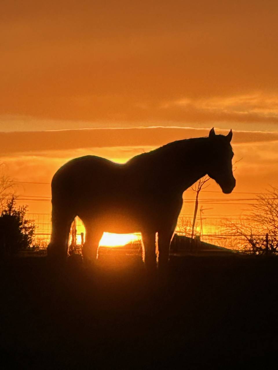 Equestrian property  Landes