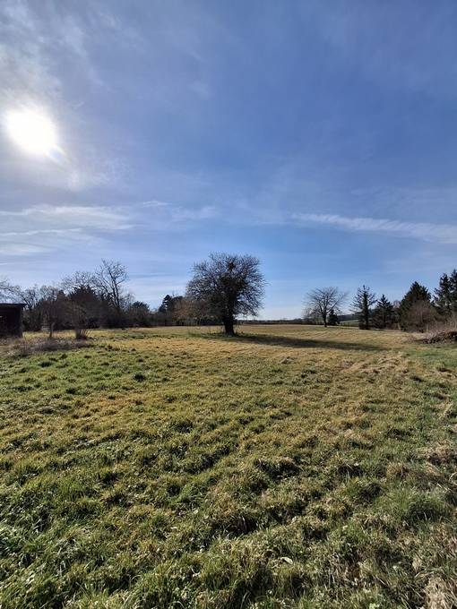 Equestrian property  Yonne