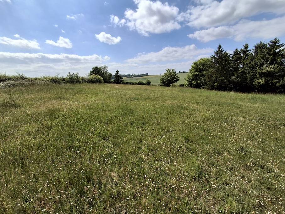 Equestrian property  Yonne