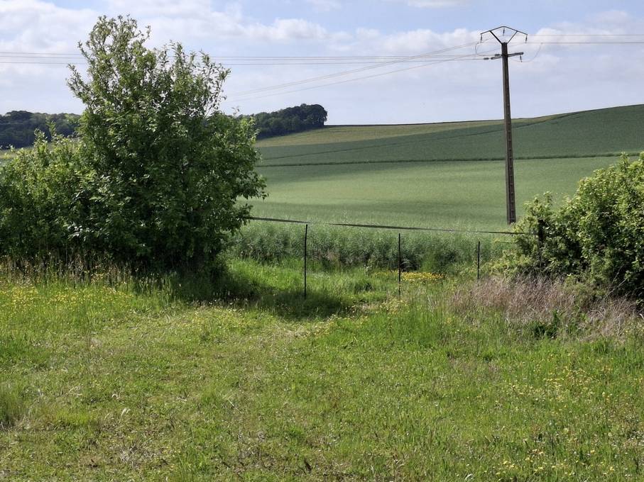 Equestrian property  Yonne