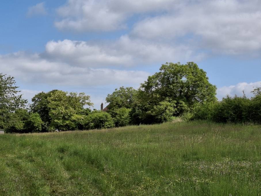 Equestrian property  Yonne