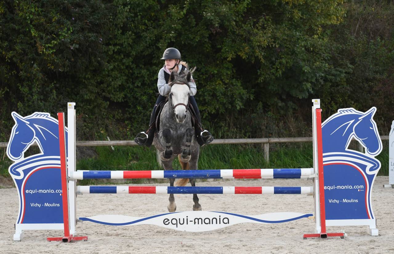 Mare Connemara For sale 2020 Grey