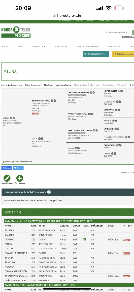 Gelding Zangersheide For sale 2022 Black