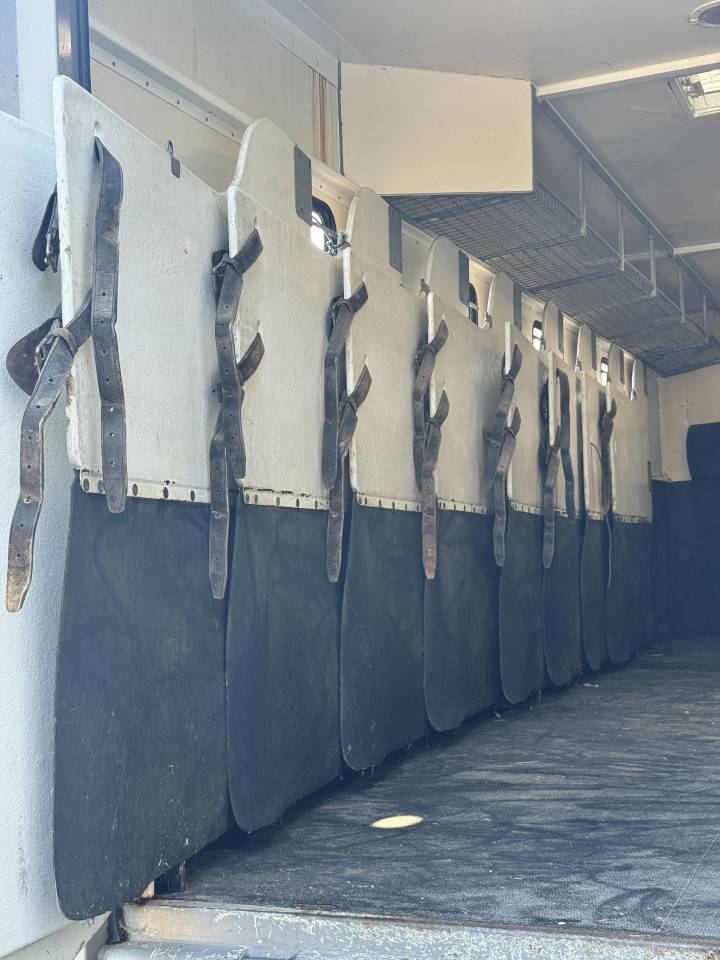 Horsebox NON-HGV Scania 94XS 2000 Used