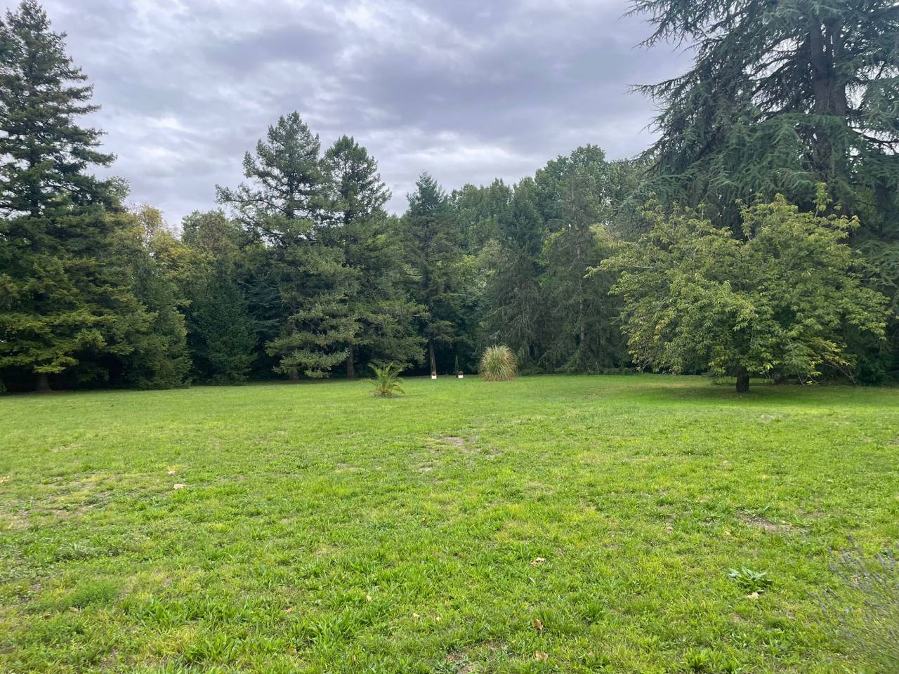 Equestrian property  Charente