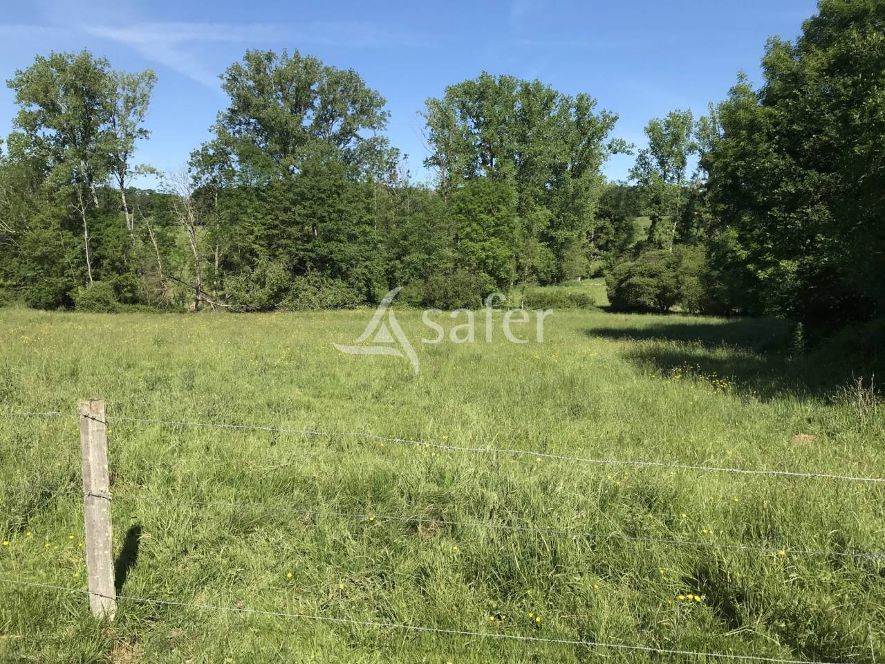 Other agricultural property  Charente