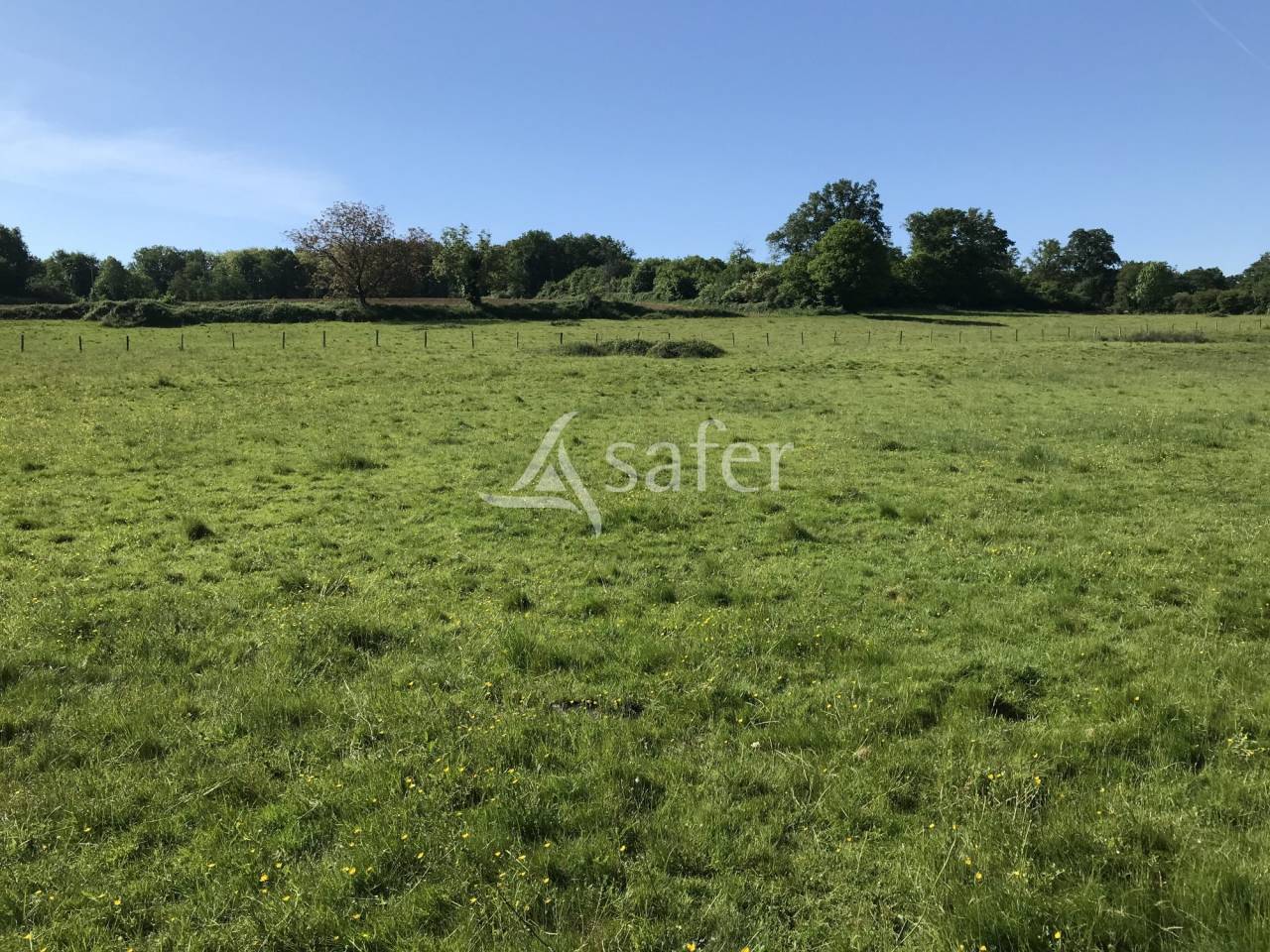 Other agricultural property  Charente