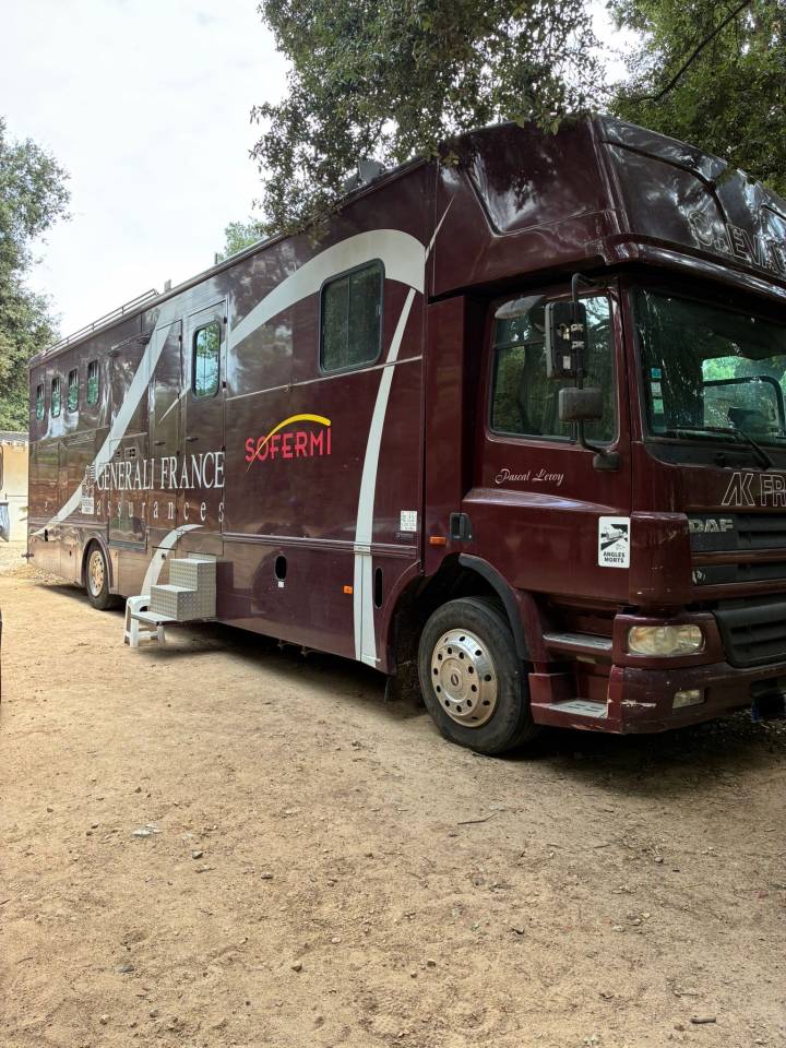 Horsebox NON-HGV Daf  2003 Used