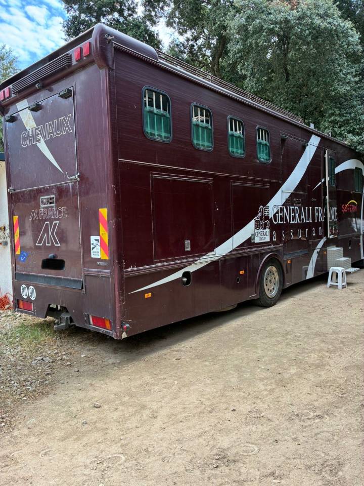 Horsebox NON-HGV Daf  2003 Used