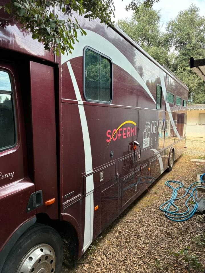 Horsebox NON-HGV Daf  2003 Used