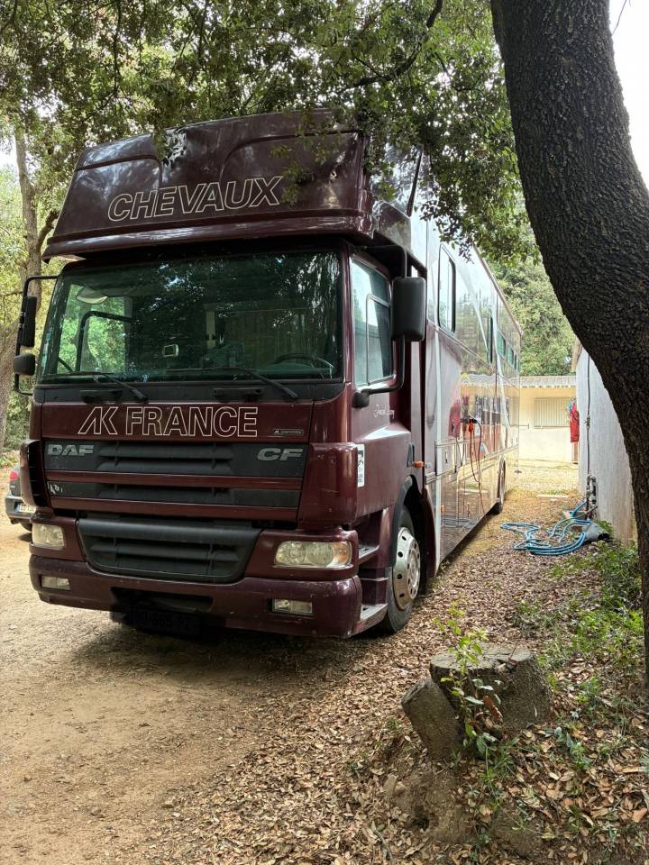 Horsebox NON-HGV Daf  2003 Used