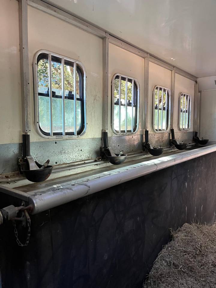 Horsebox NON-HGV Daf  2003 Used