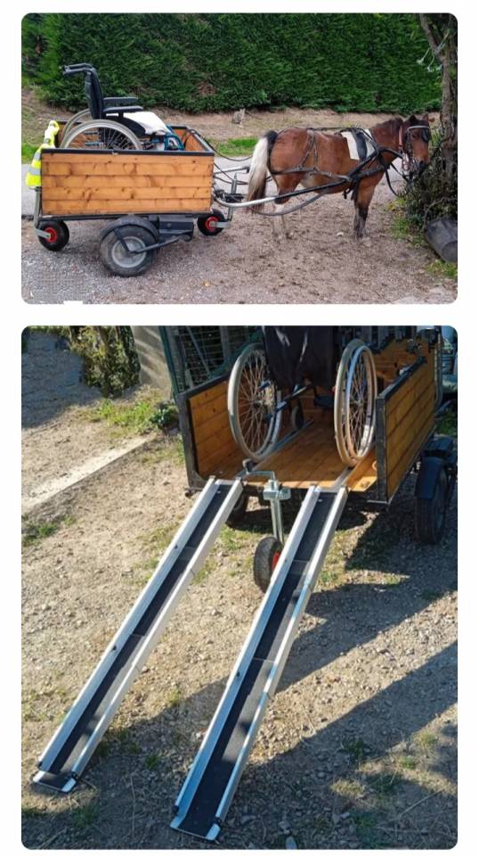 Carriage - Other carriage   