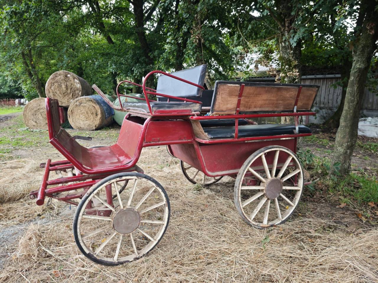 Carriage - Cal&egrave;che   