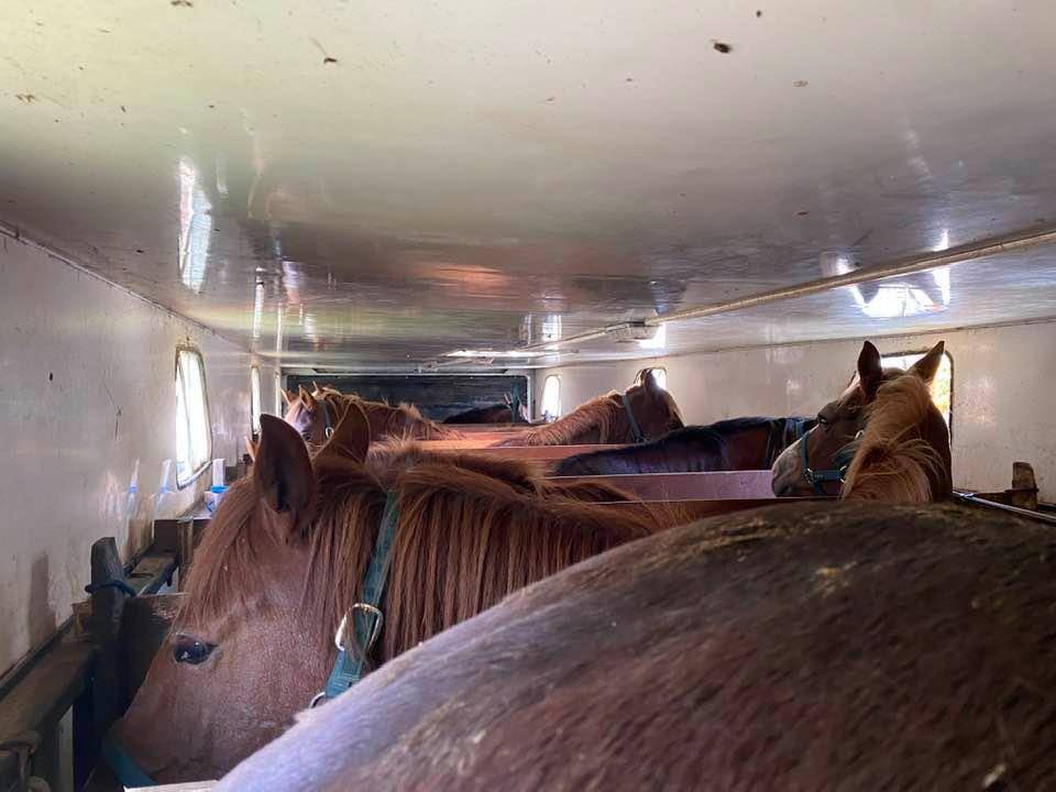 Semitrailer Iveco IVECO 1994 Used