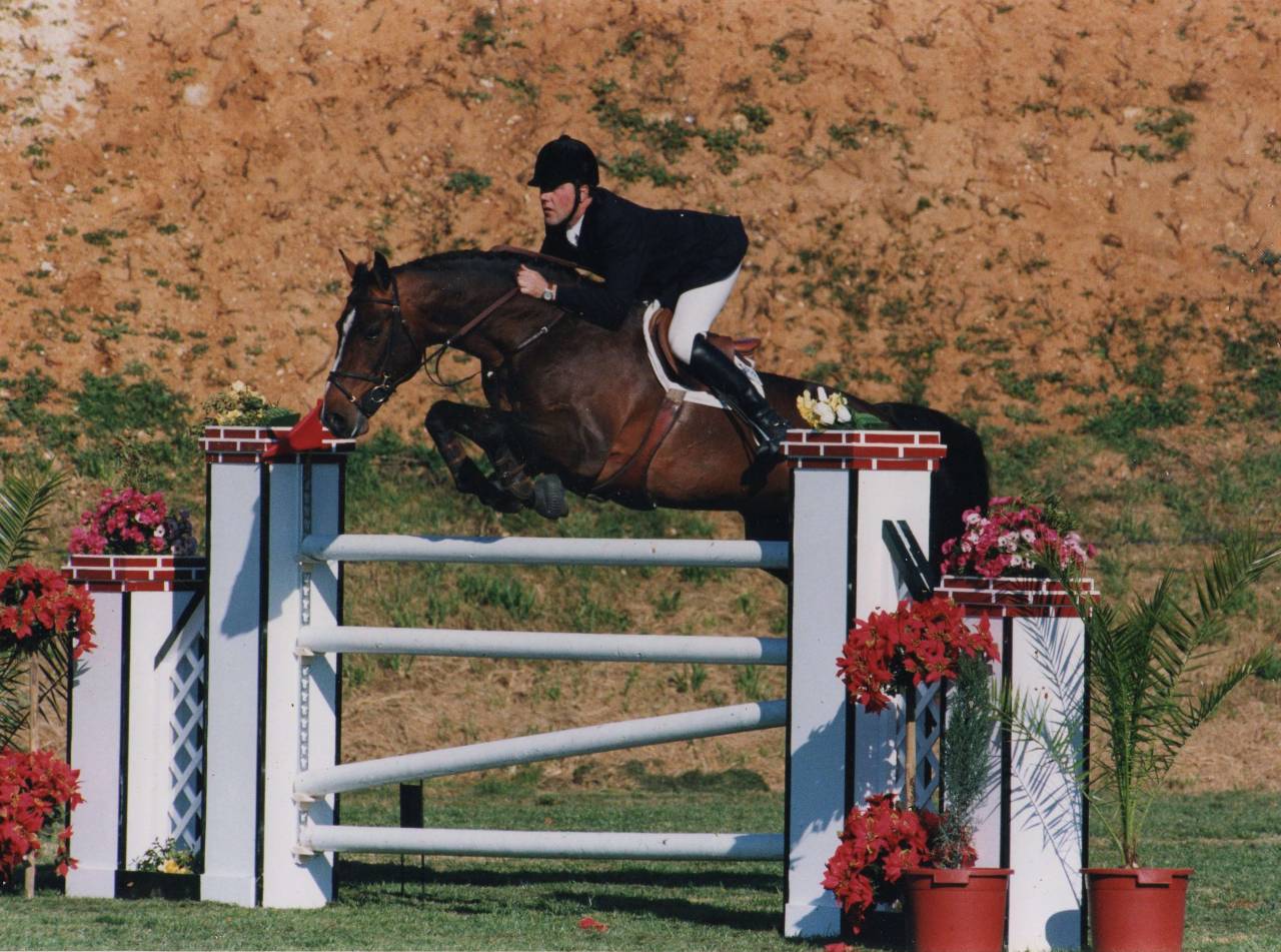 CAP DE B'NEVILLE - Selle Français 1994 by starter