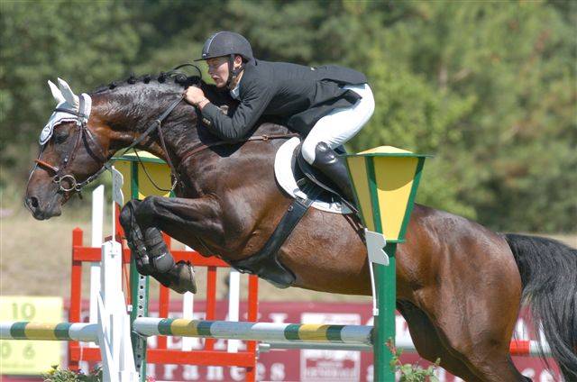 CAP DE B'NEVILLE - Selle Français 1994 by starter