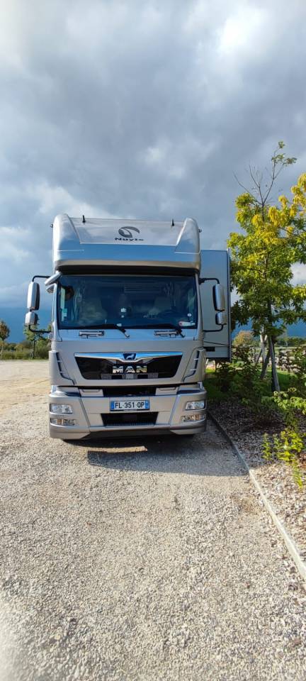 Horsebox NON-HGV Man MAN - TGM 2018 Used
