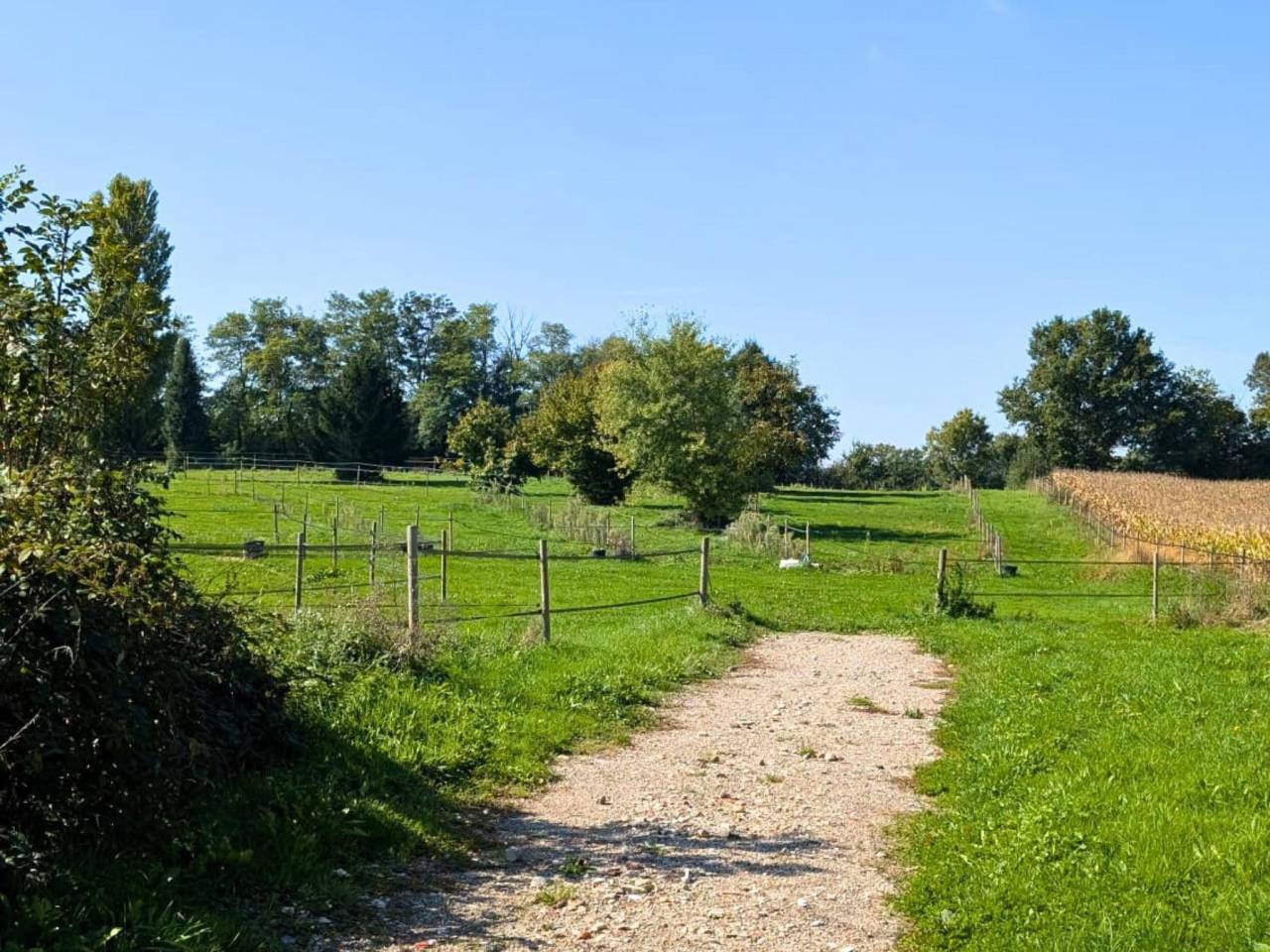 Equestrian property  Ain