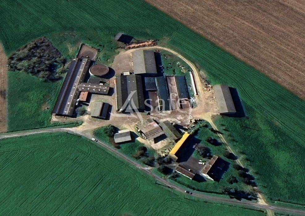 Dairy farm  Indre-et-Loire