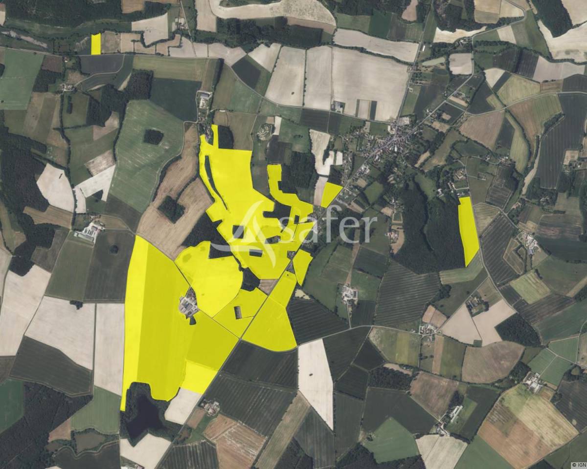 Dairy farm  Indre-et-Loire