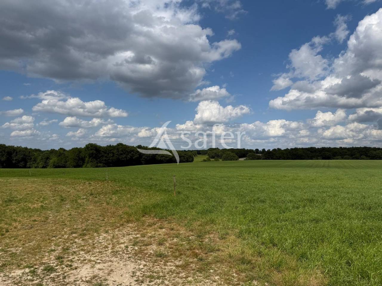 Dairy farm  Indre-et-Loire