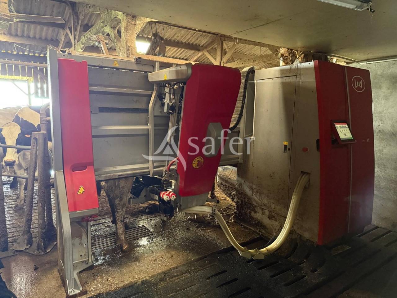 Dairy farm  Indre-et-Loire