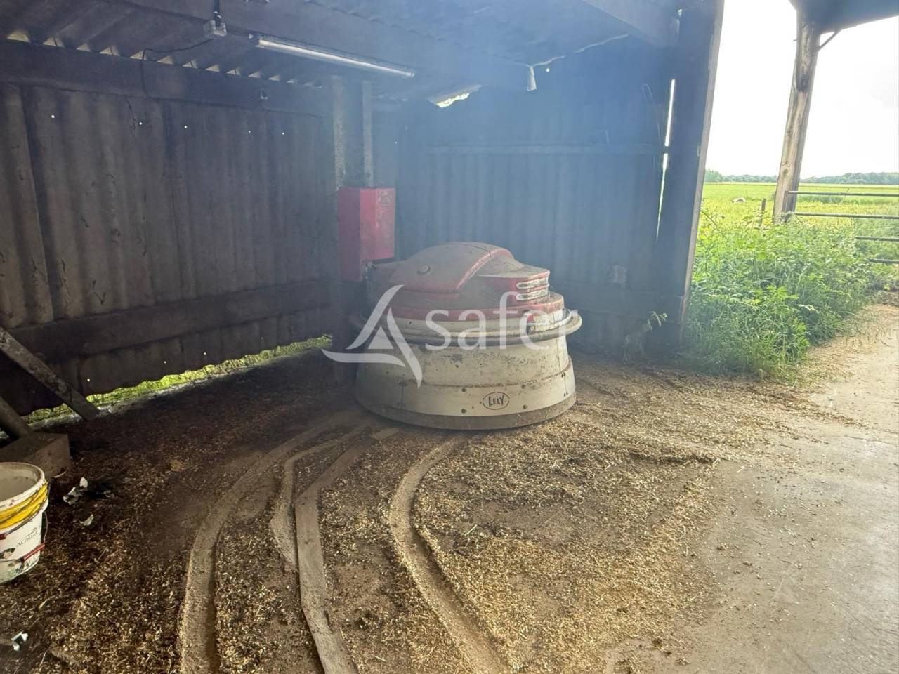Dairy farm  Indre-et-Loire