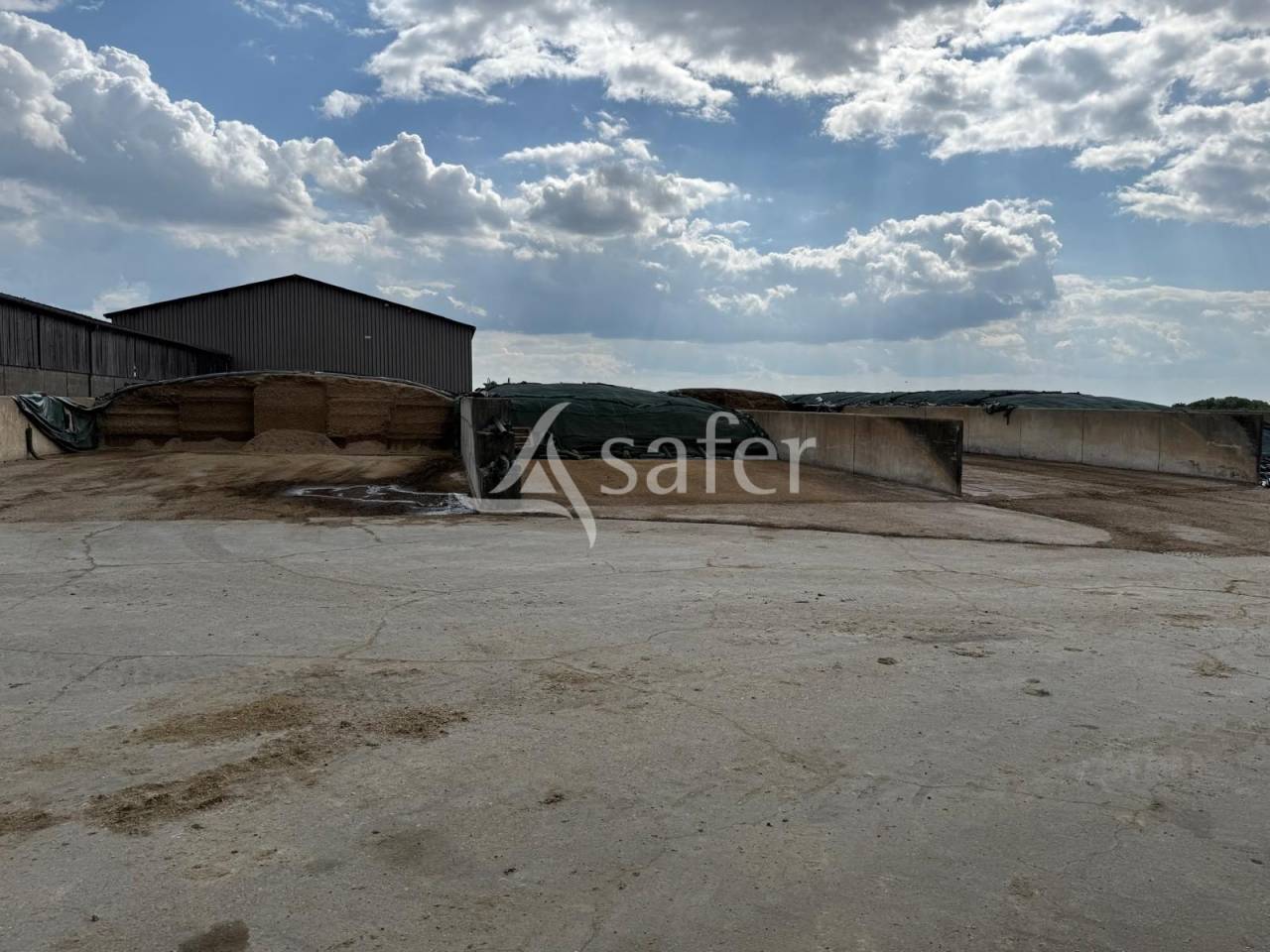 Dairy farm  Indre-et-Loire